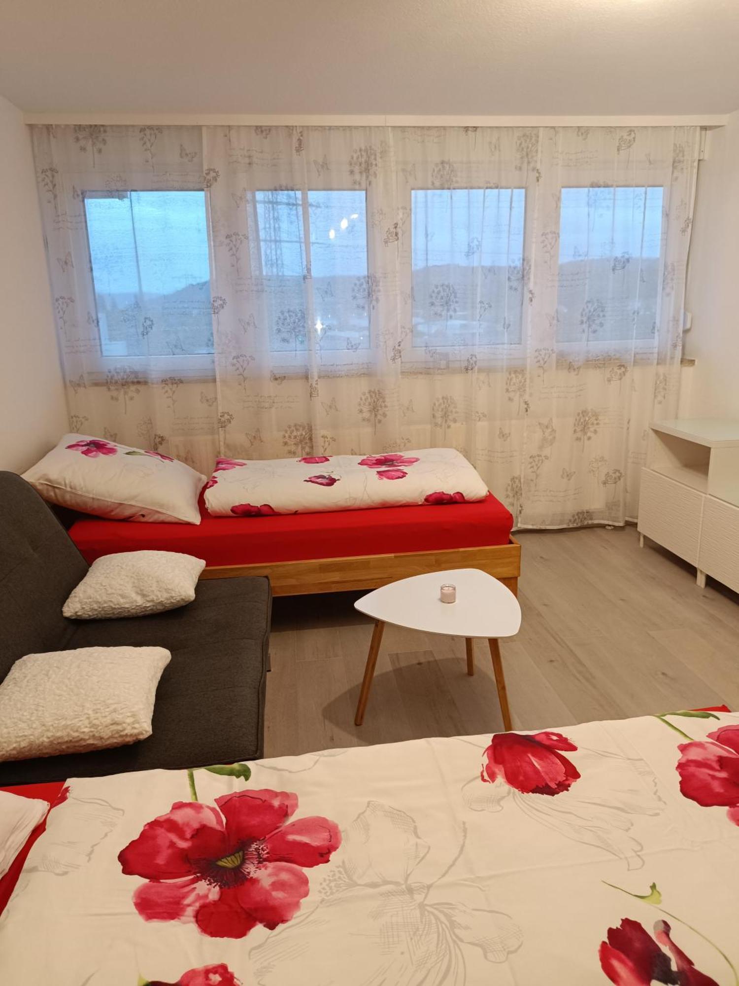 Apartment Lahr 50 المظهر الخارجي الصورة